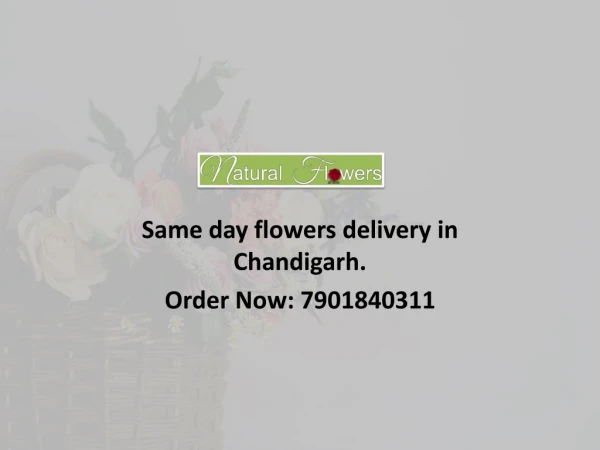 Same day flowers delivery in Chandigarh