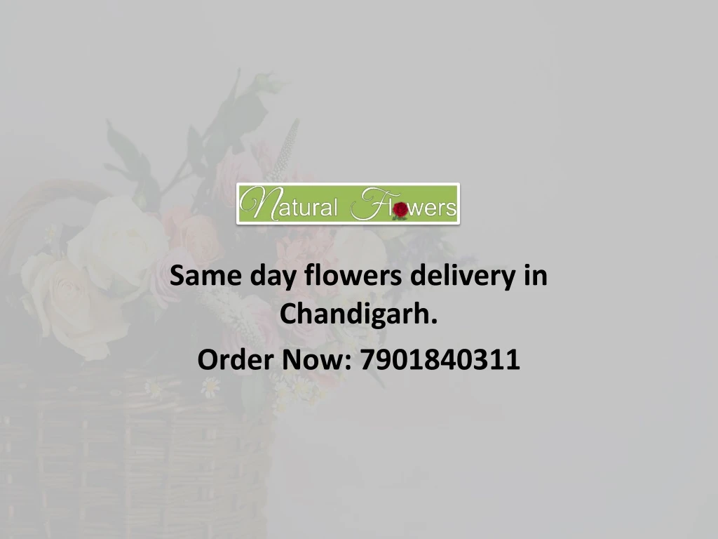 same day flowers delivery in chandigarh order now 7901840311