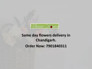 PPT - Top Selling Flowers Same Day Delivery PowerPoint Presentation ...