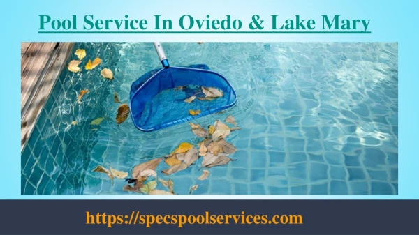 Avail The Best Pool Service In Oviedo & Lake Mary