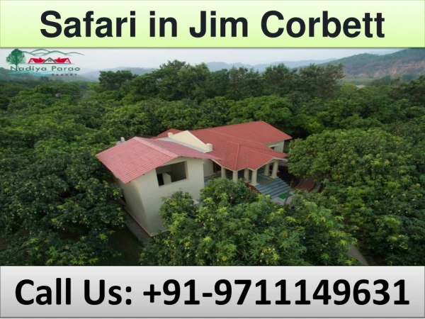 safari in jim corbett