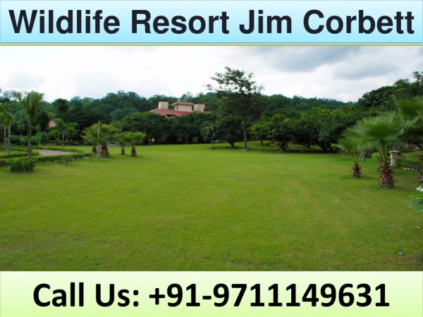 wildlife resort jim corbett