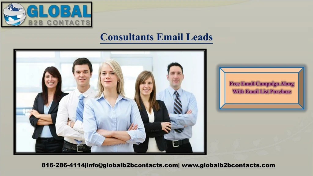 consultants email leads