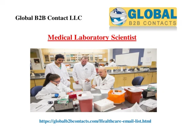 global b2b contact llc