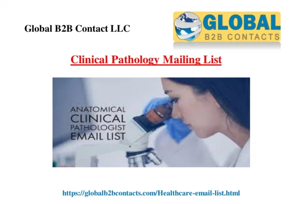 global b2b contact llc