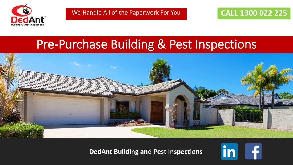 pre purchase building pest inspections
