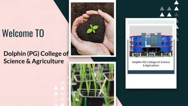 Bsc Agri College