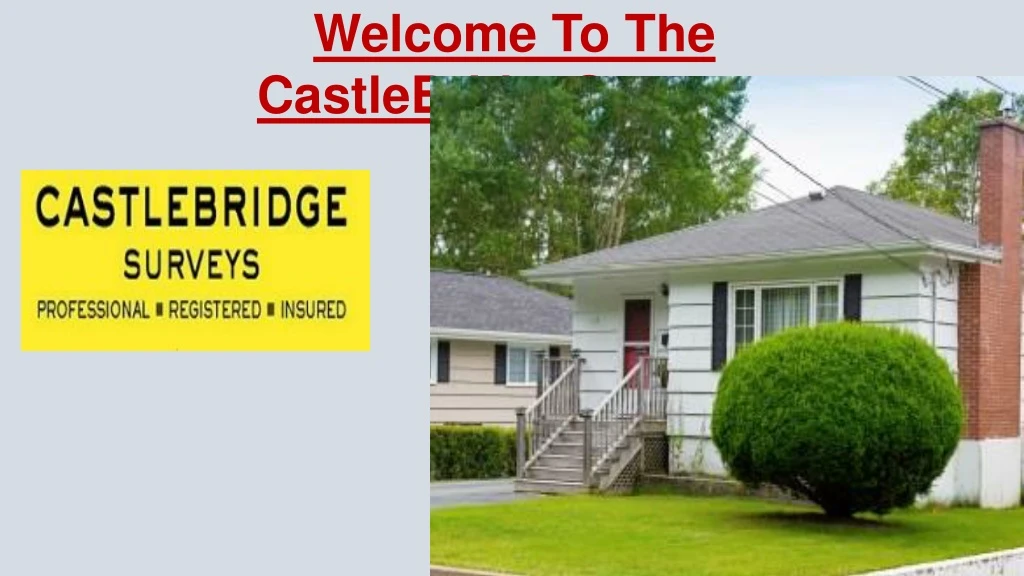 welcome to the castlebridgesurveys