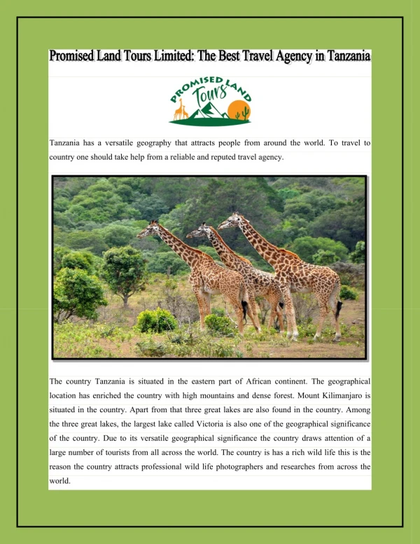 Promised Land Tours Limited: The Best Travel Agency in Tanzania
