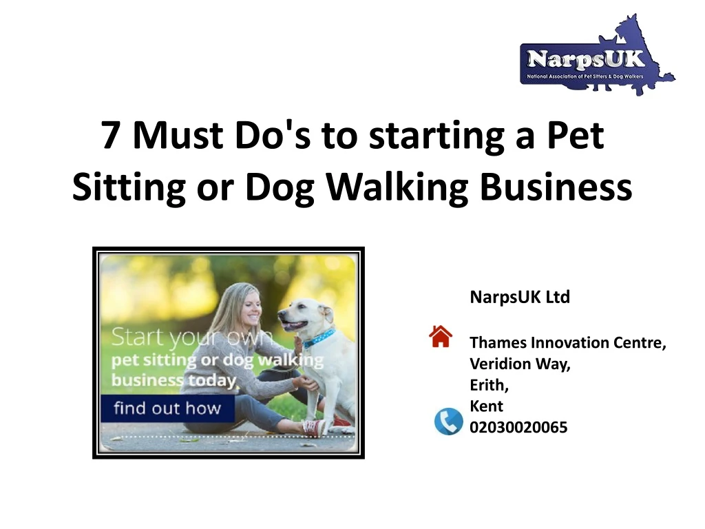 7 must do s to starting a pet sitting or dog walking business