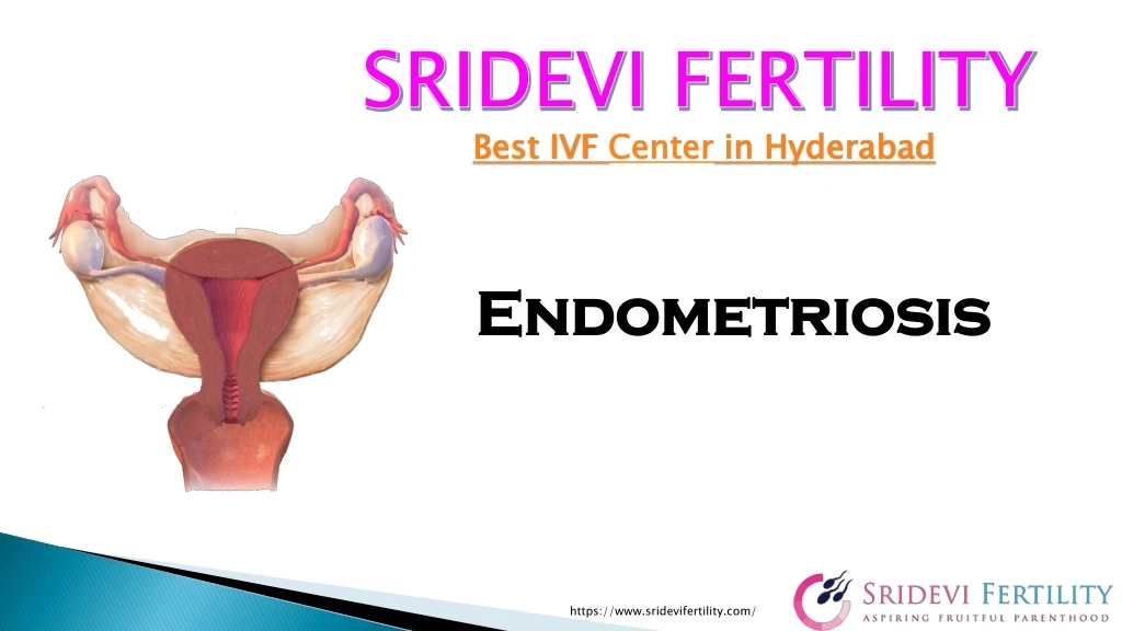 s ridevi fertility