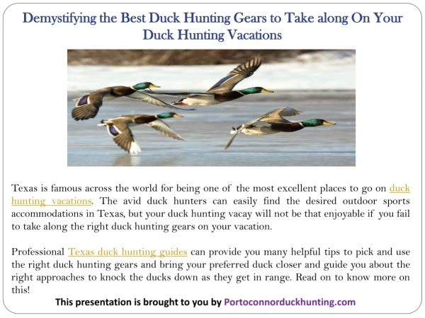 Demystifying the Best Duck Hunting Gears to Take along On Your Duck Hunting Vacations