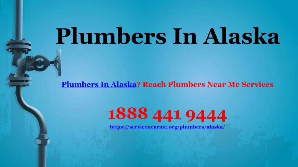 plumbers in alaska