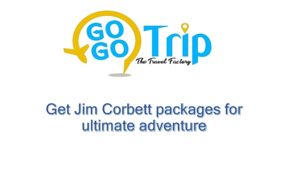 Get Jim Corbett packages for ultimate adventure