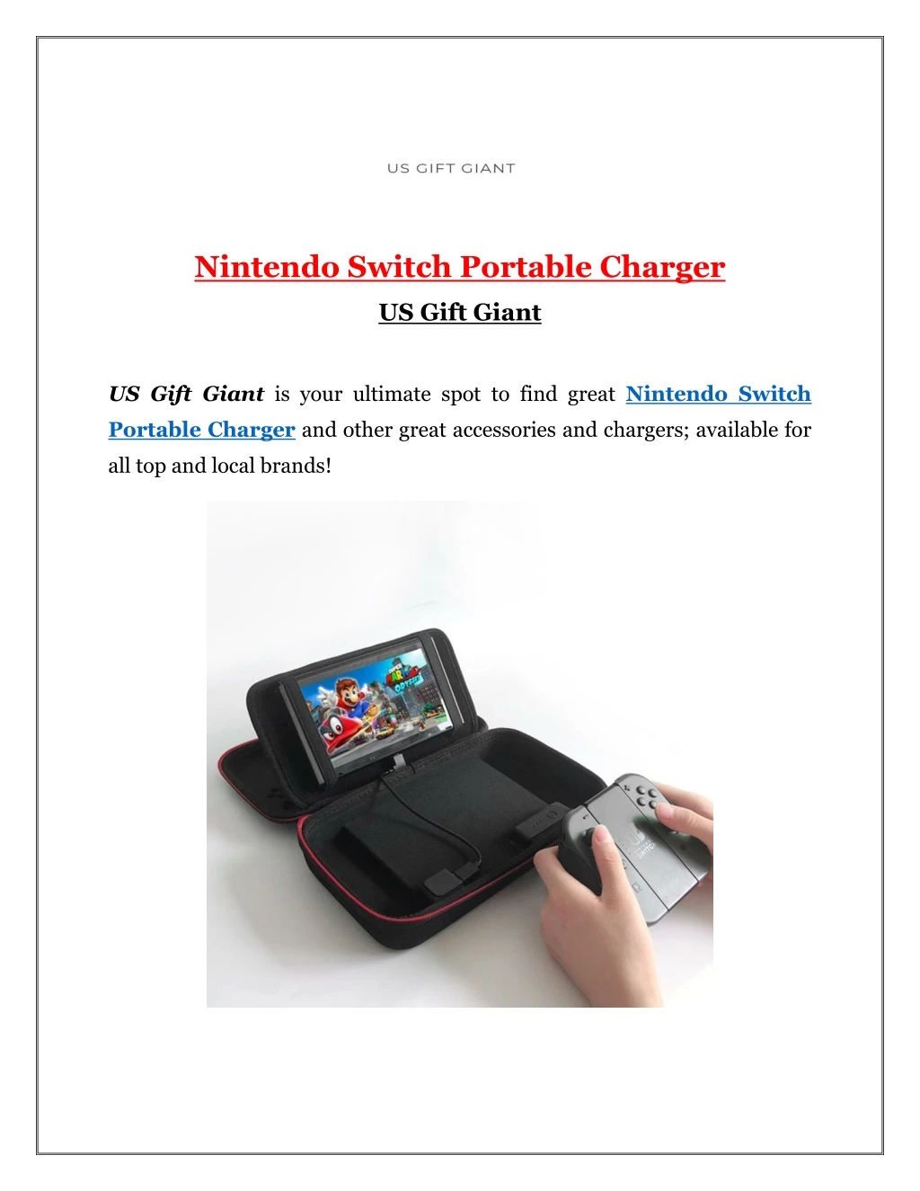 nintendo switch portable charger