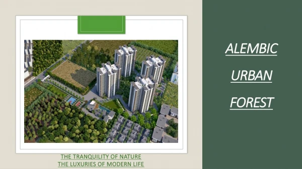 3 BHK Luxury Apartments In Whitefield, Bangalore | Alembic Urban Forest