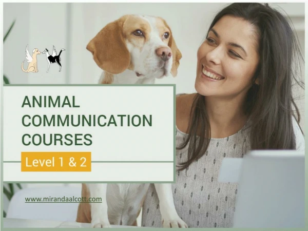 Animal Communication Counseling in Santa Monica by Miranda Alcott
