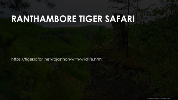 Ranthambore tiger safari- tigersafari