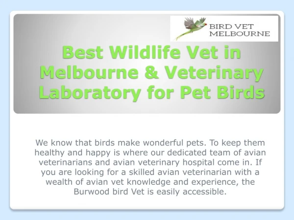 Best Bird Veterinarian Melbourne | Bird Diseases & Treatment