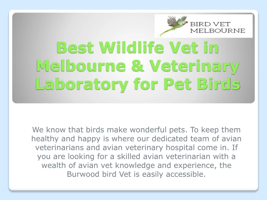 best wildlife vet in melbourne veterinary laboratory for pet birds