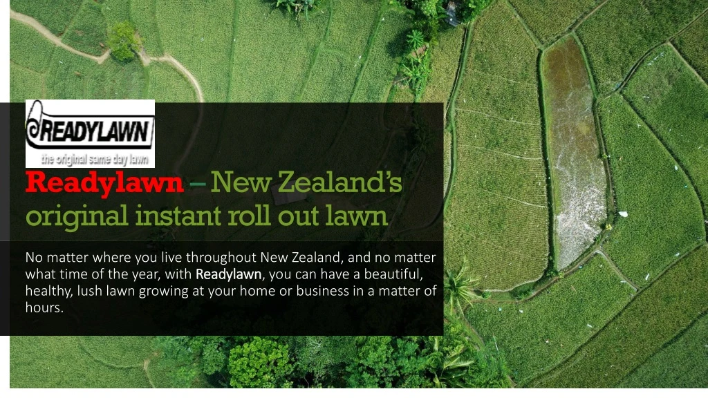 readylawn new zealand s original instant roll out lawn