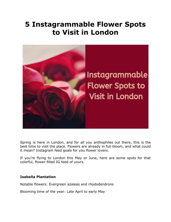 5 Instagrammable Flower Spots to Visit in London