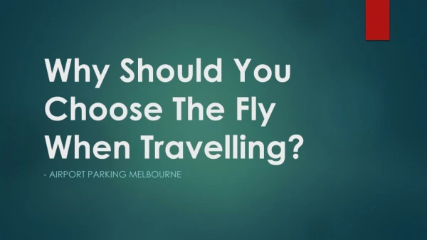 Why Should You Choose The Fly When Travelling