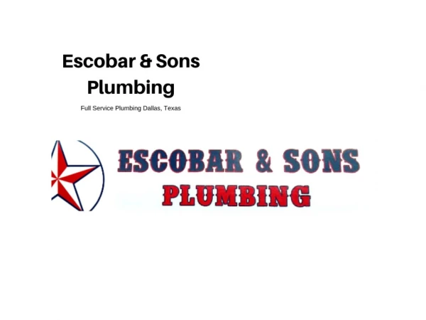 Need a professional plumber for your place