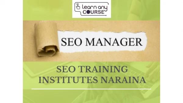 SEO Training Institutes Naraina