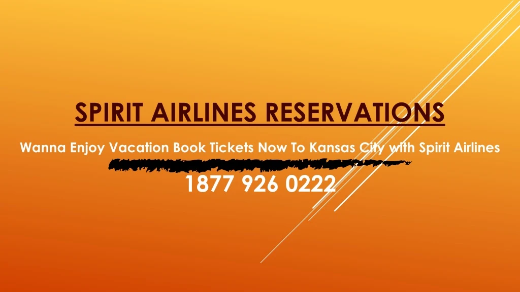 spirit airlines reservations