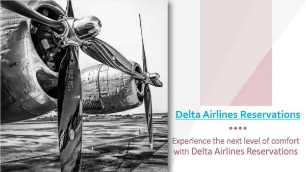 Experience the next level of comfort with Delta Airlines Reservations