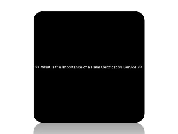What is the Importance of a Halal Certification Service