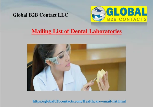 global b2b contact llc