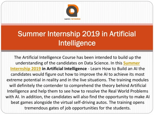 Summer Internship 2019 in Artificial Intelligence