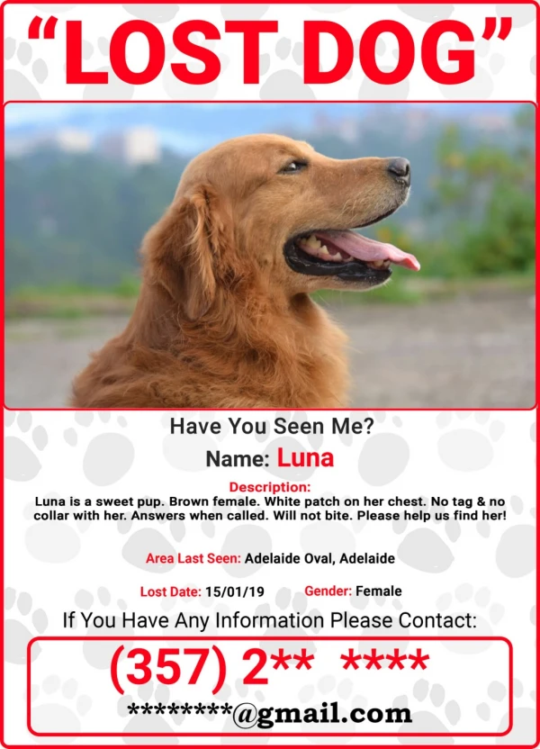 Free Missing Pet Poster