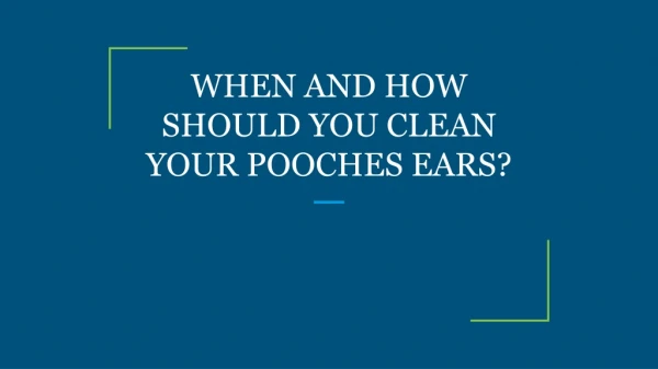 WHEN AND HOW SHOULD YOU CLEAN YOUR POOCHES EARS?