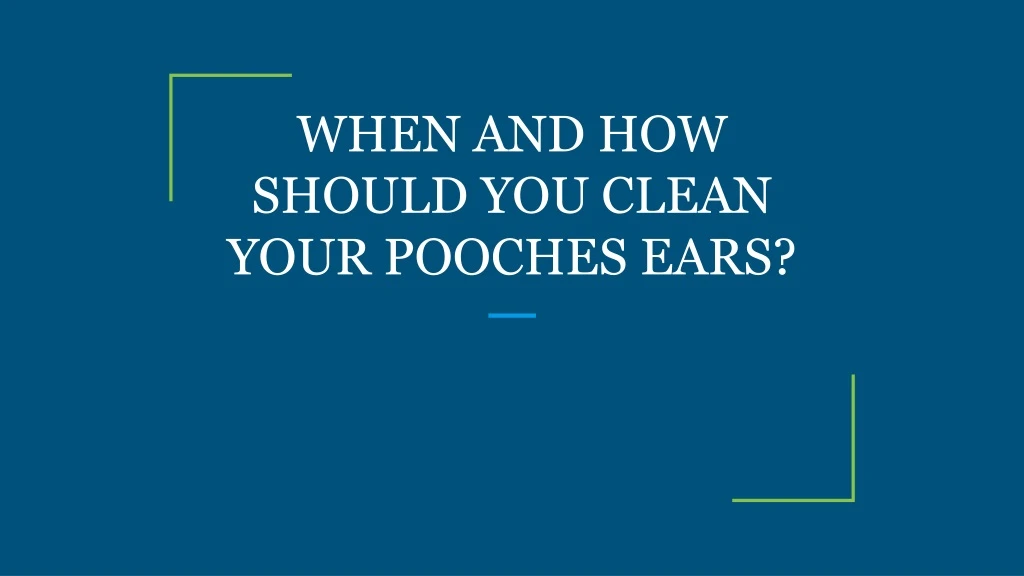 when and how should you clean your pooches ears