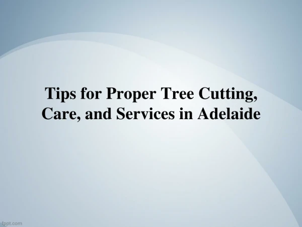 Tips for Proper Tree Cutting, Care, and Services in Adelaide
