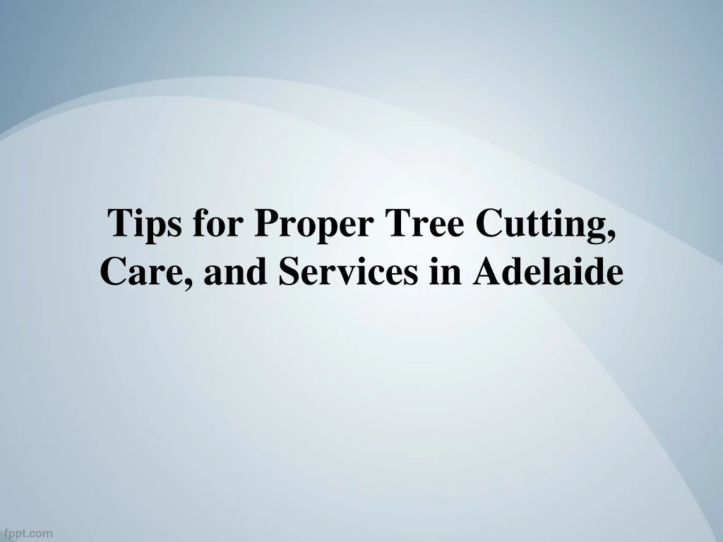 tips for proper tree cutting care and services