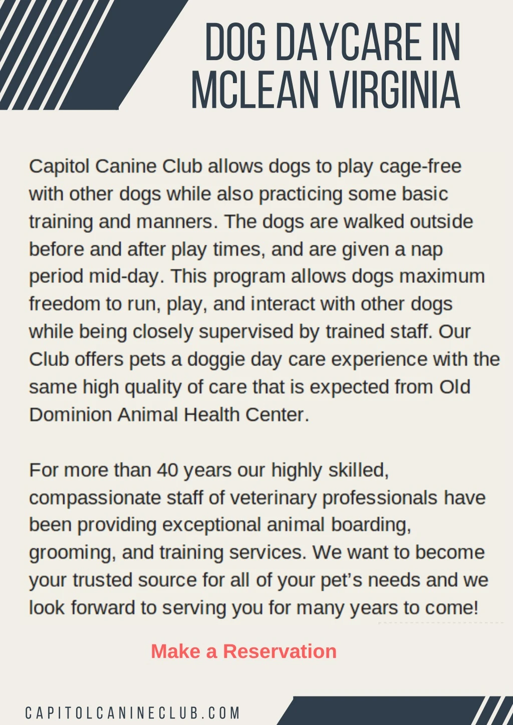 dog da y care in mclean virginia