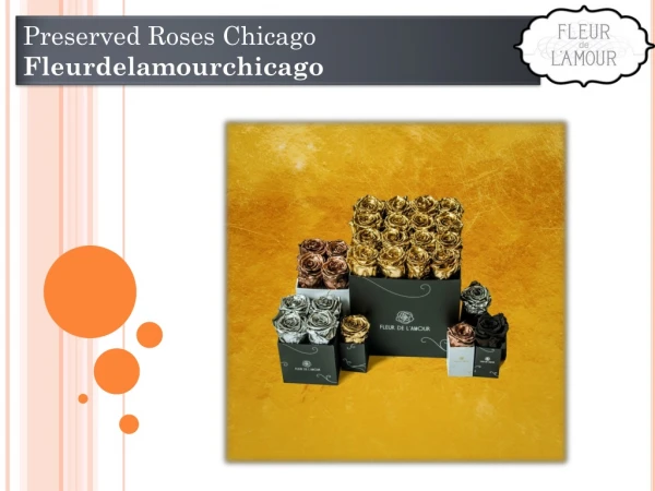 Preserved Roses Chicago