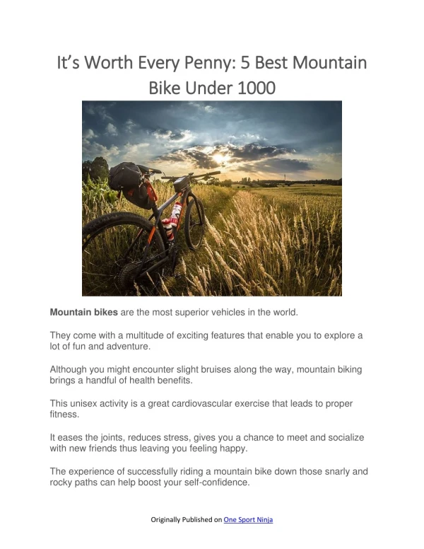 It is Worth Every Penny- 5 Best Mountain Bike Under 1000