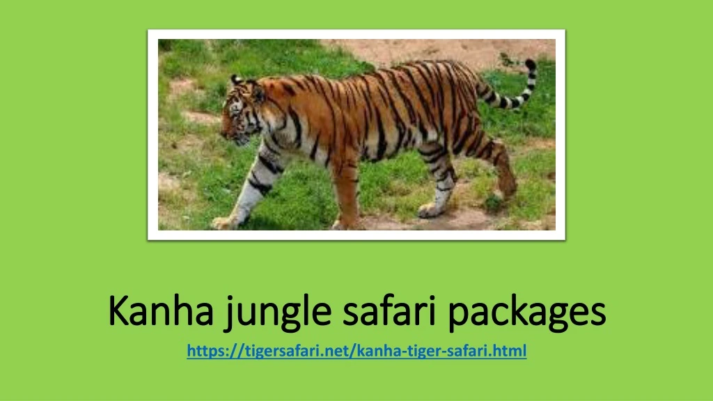 kanha jungle safari packages