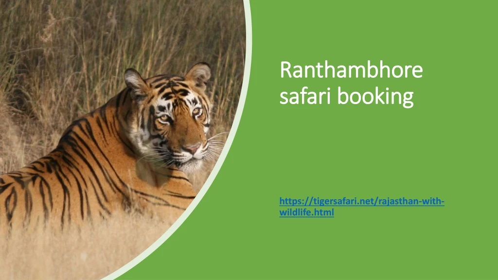 ranthambhore safari booking