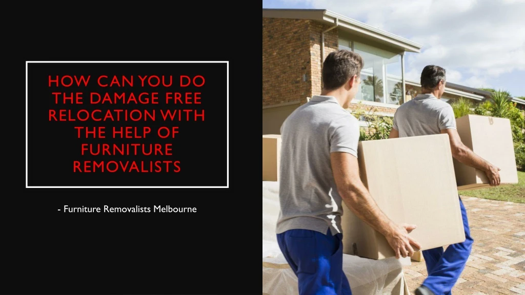 how can you do the damage free relocation with the help of furniture removalists