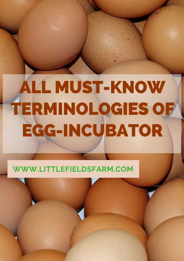 All Must-Know Terminologies of Egg-Incubator