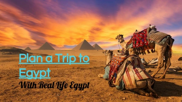 Plan a Trip to Egypt at Best Prices