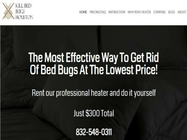 Best Heat Treatment of Bed Bugs