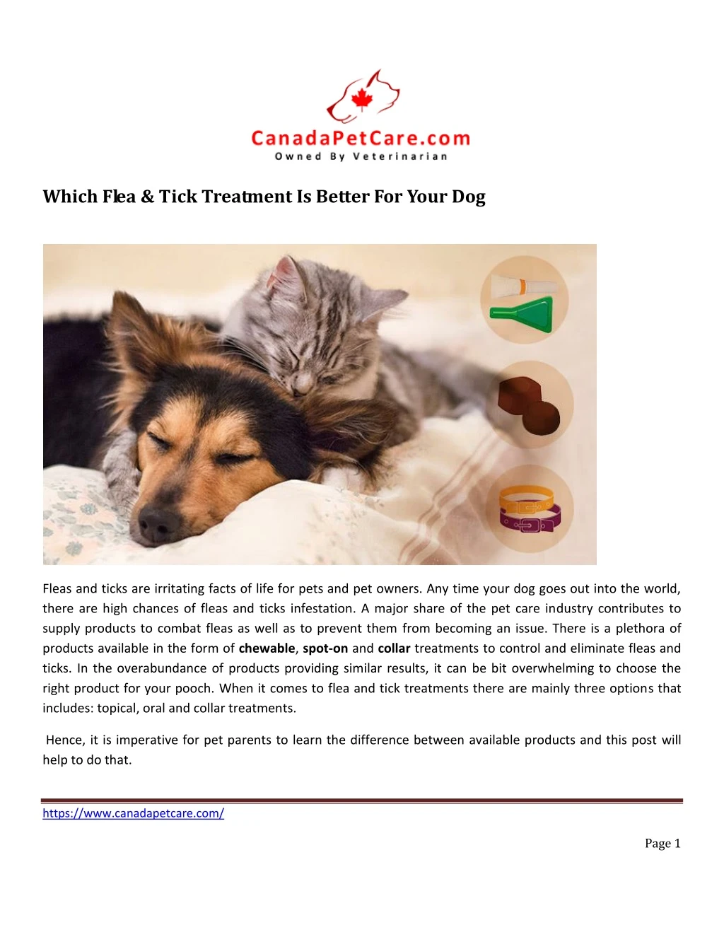 which flea tick treatment is better for your dog