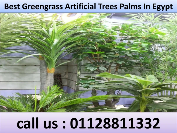 Best Greengrass Artificial Trees Palms In Egypt